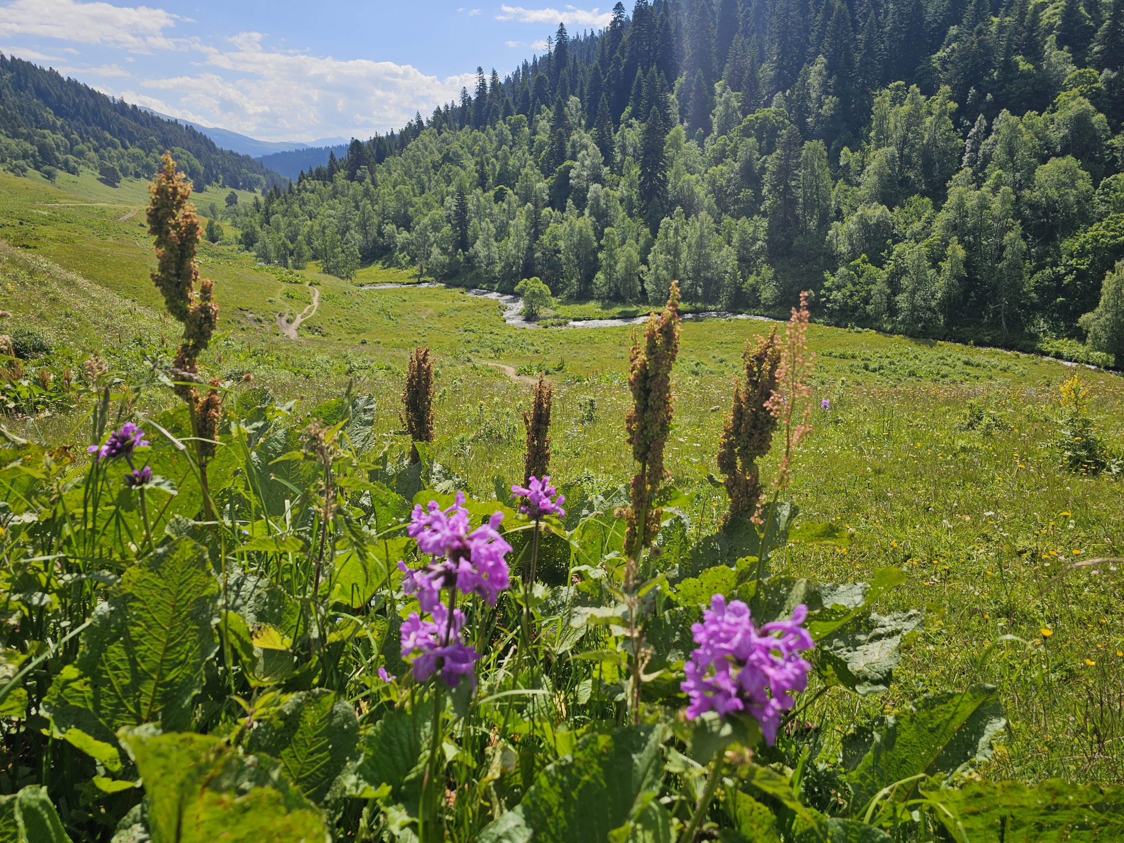 Ducca Lakes